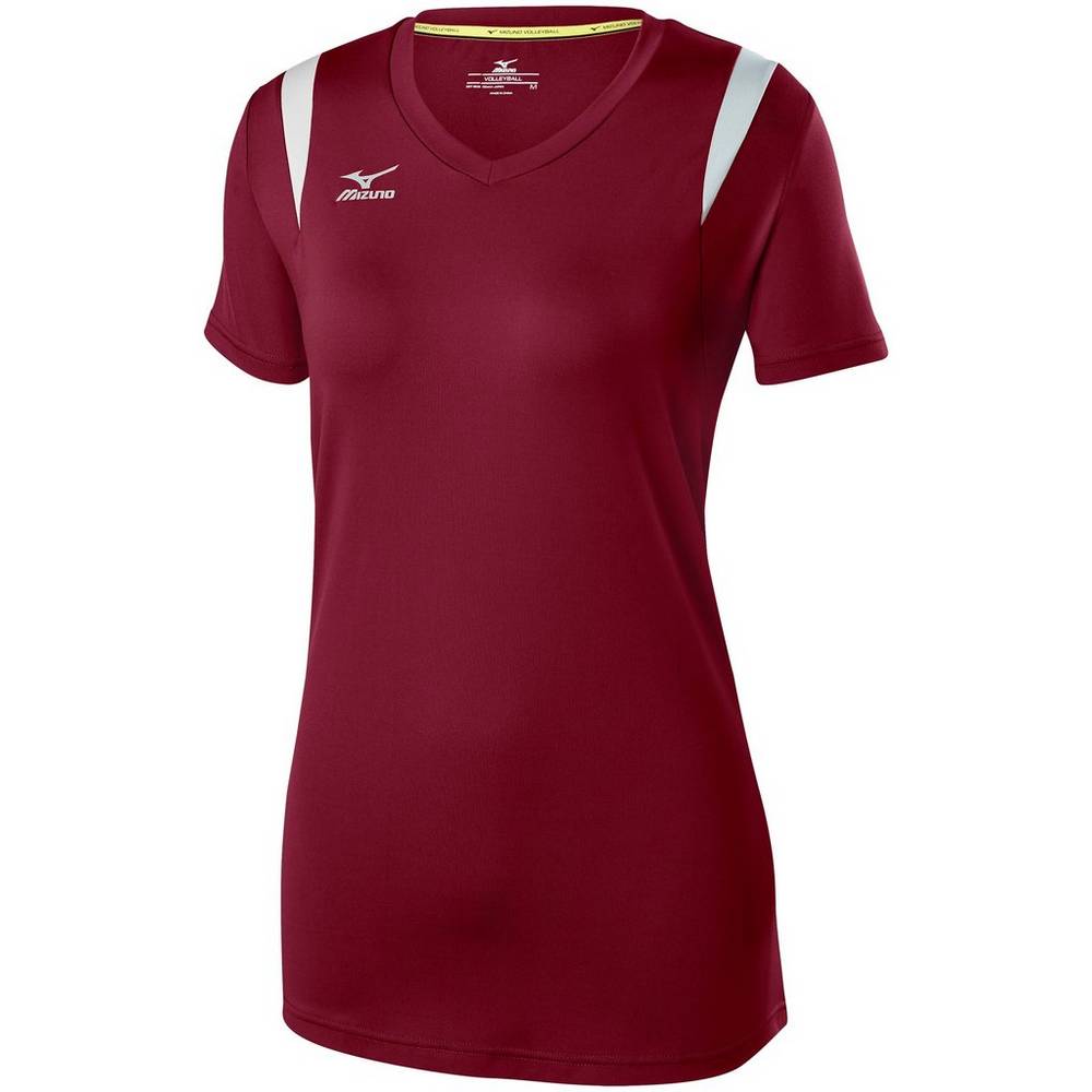 Damske Dresy Mizuno Balboa 5.0 Long Sleeve Volejbalove Bordove/Strieborne Vypredaj AGUT95264